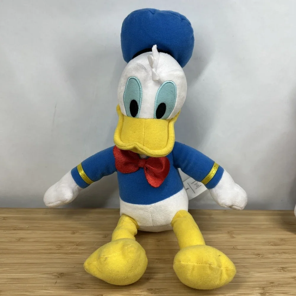 Disney bring home