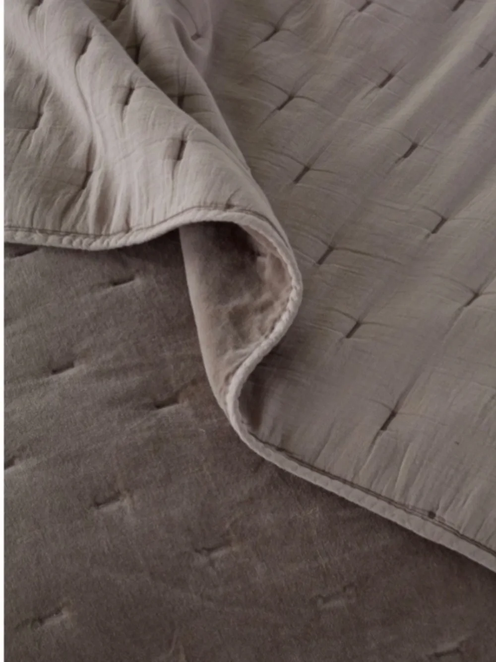 Nordstrom velvet dream