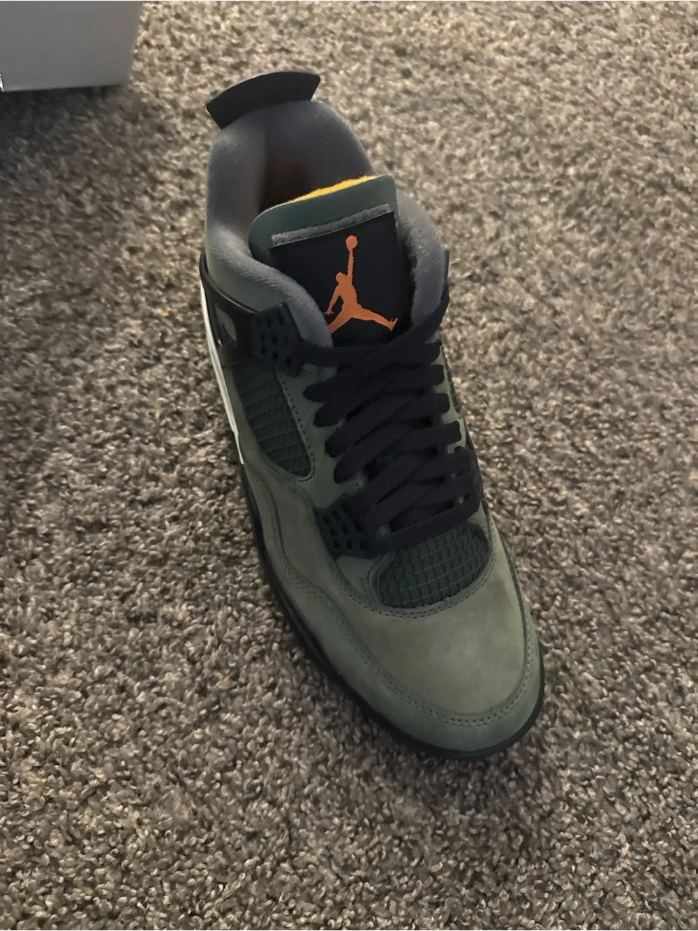 Jordan iconic profile