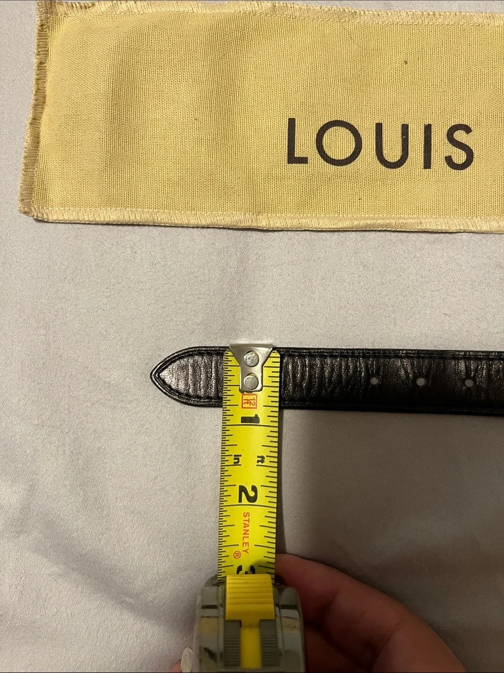 Louis Vuitton nice used