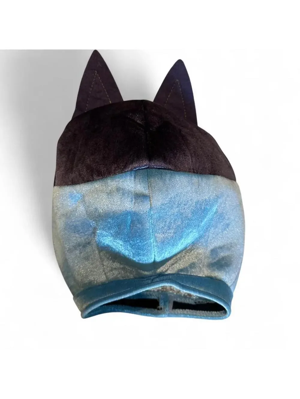 Bluey dog toddler
