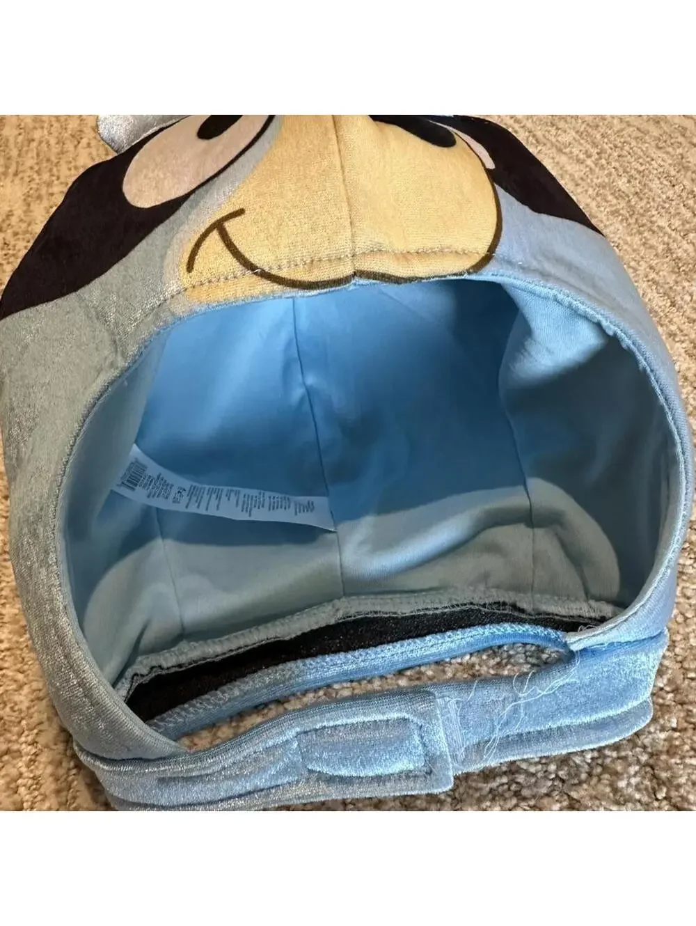 Bluey dog toddler