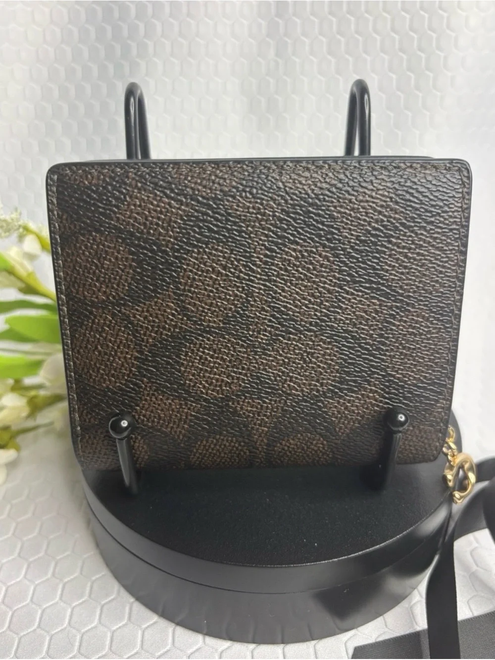 Coach signature canvas