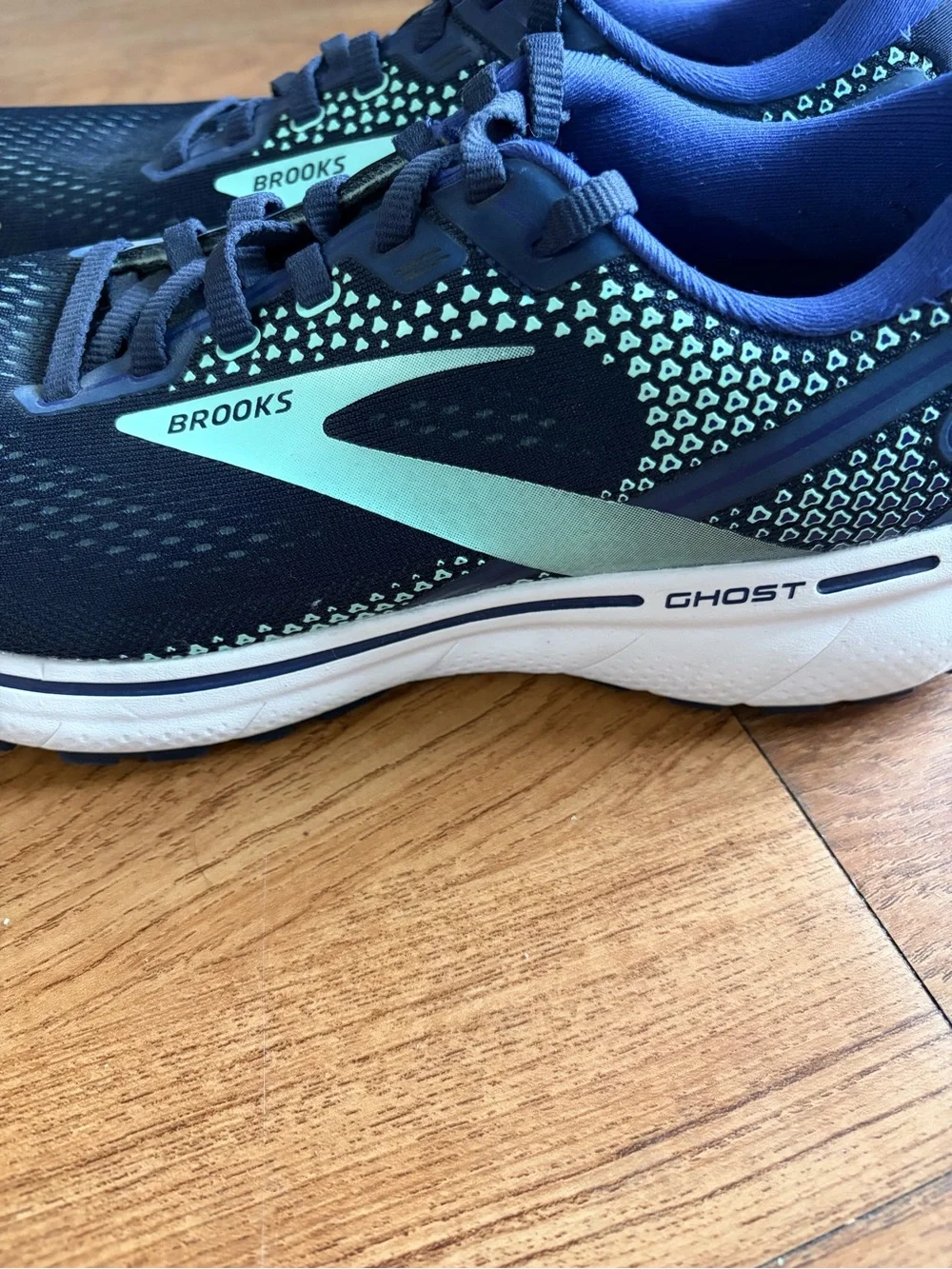 Brooks ghost 14