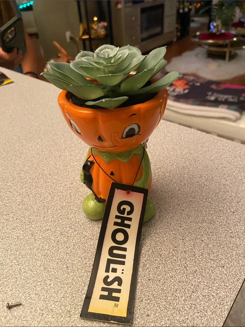 N/A charming orange