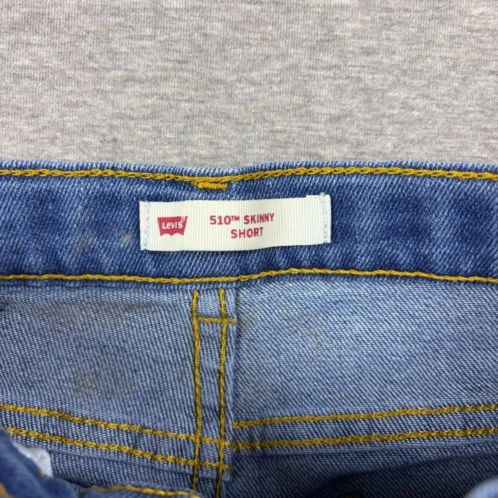Levis levi strauss