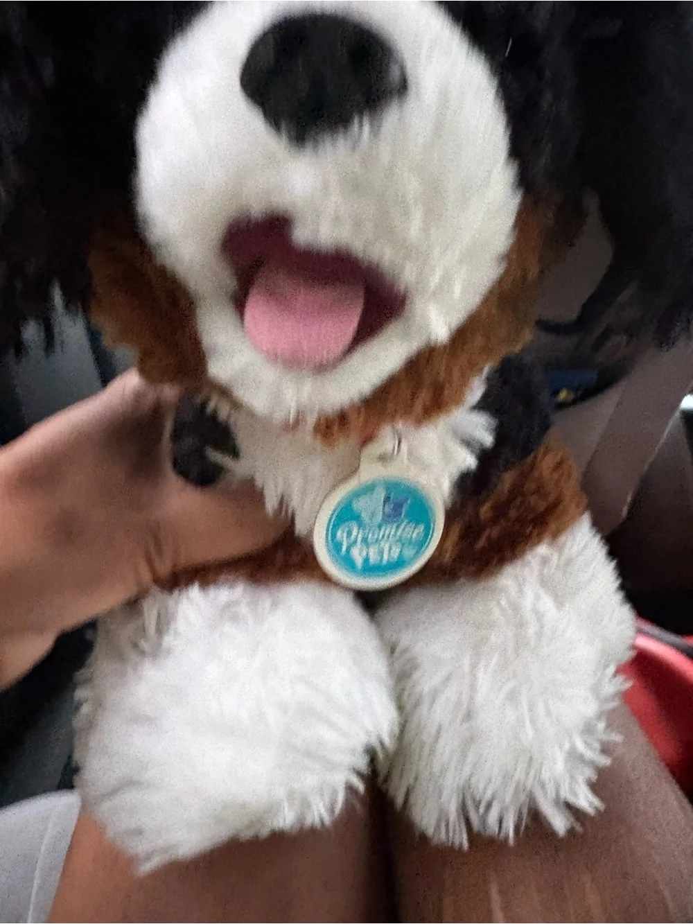 Promise soft plush