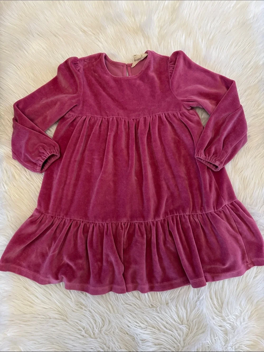 Mini Boden rose by