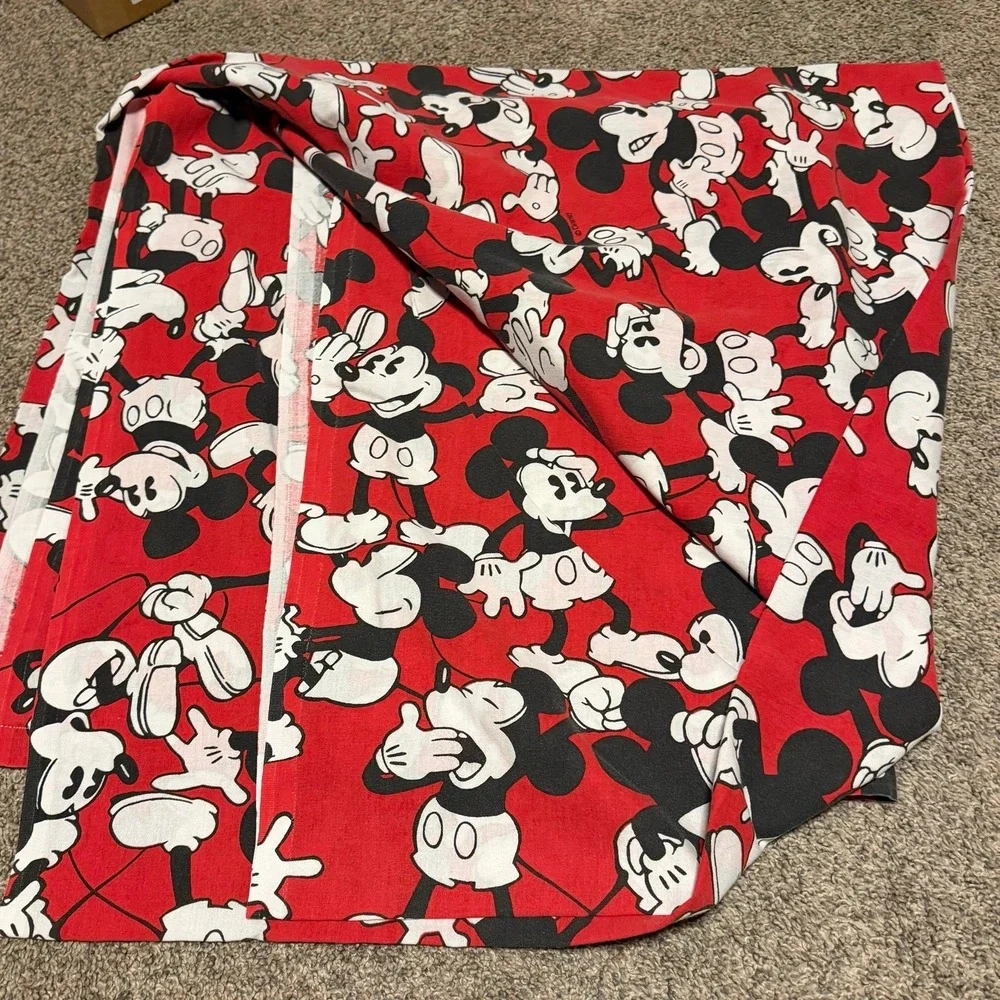 Disney flat cases