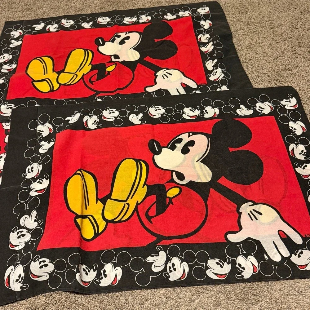 Disney flat cases