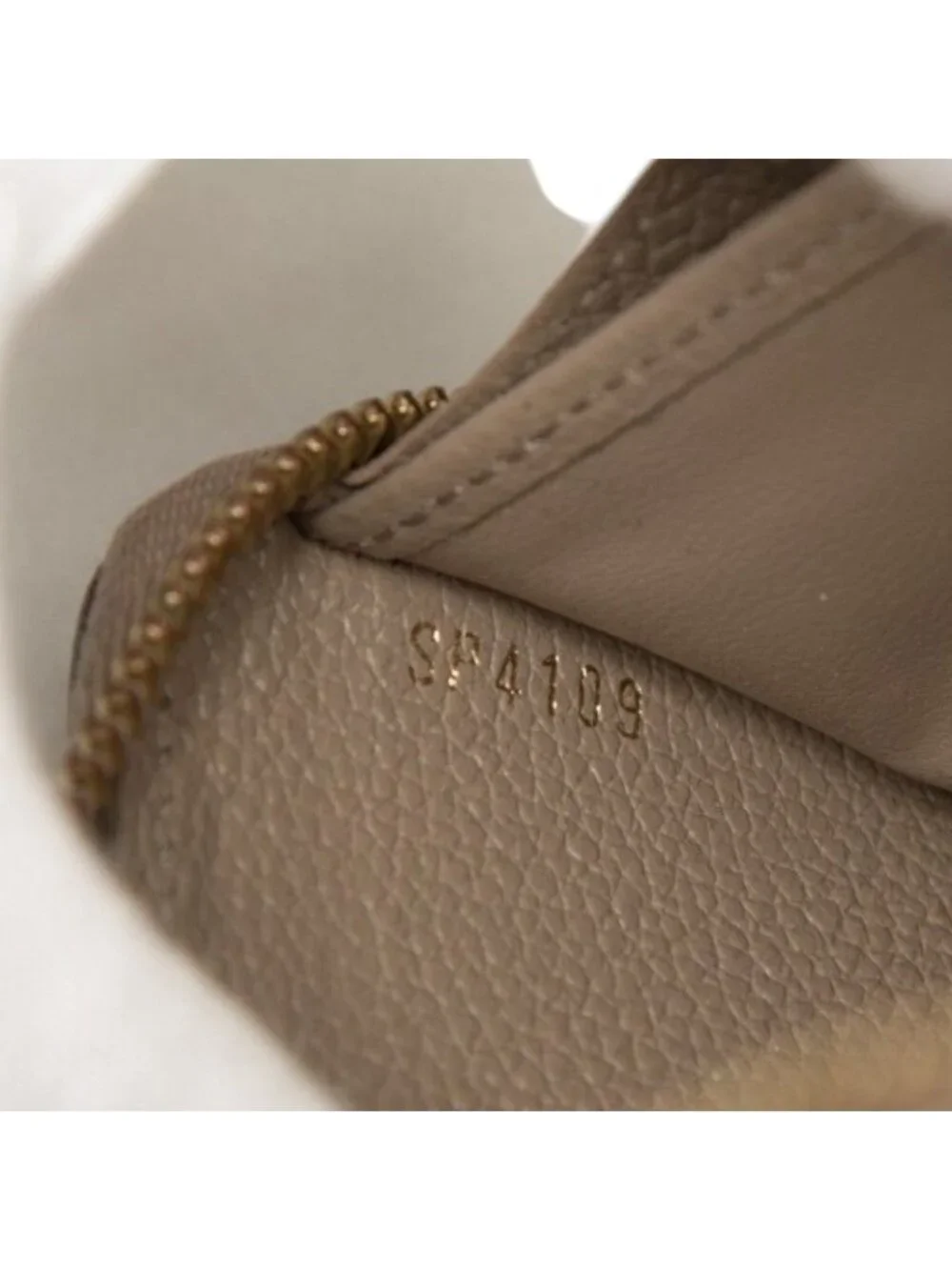 Louis Vuitton brand louis