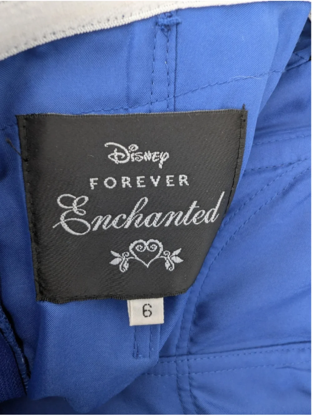 Disney forever enchanted